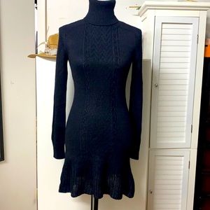 Beautiful Theory sweater dress